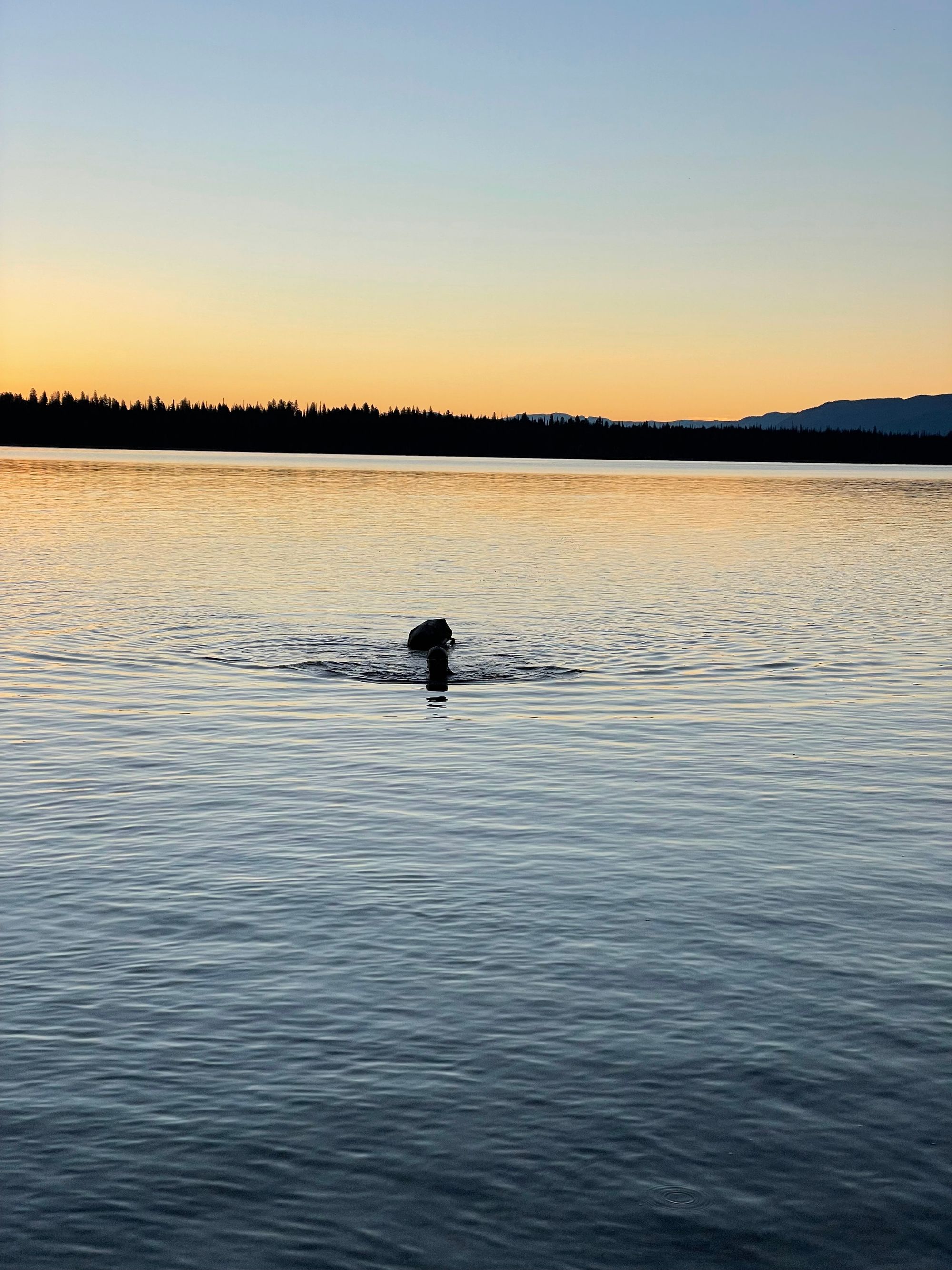 Picnic: Grand Teton Triathlon