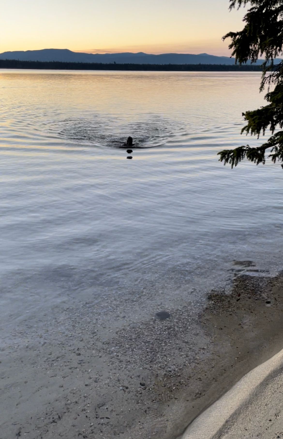 Picnic: Grand Teton Triathlon