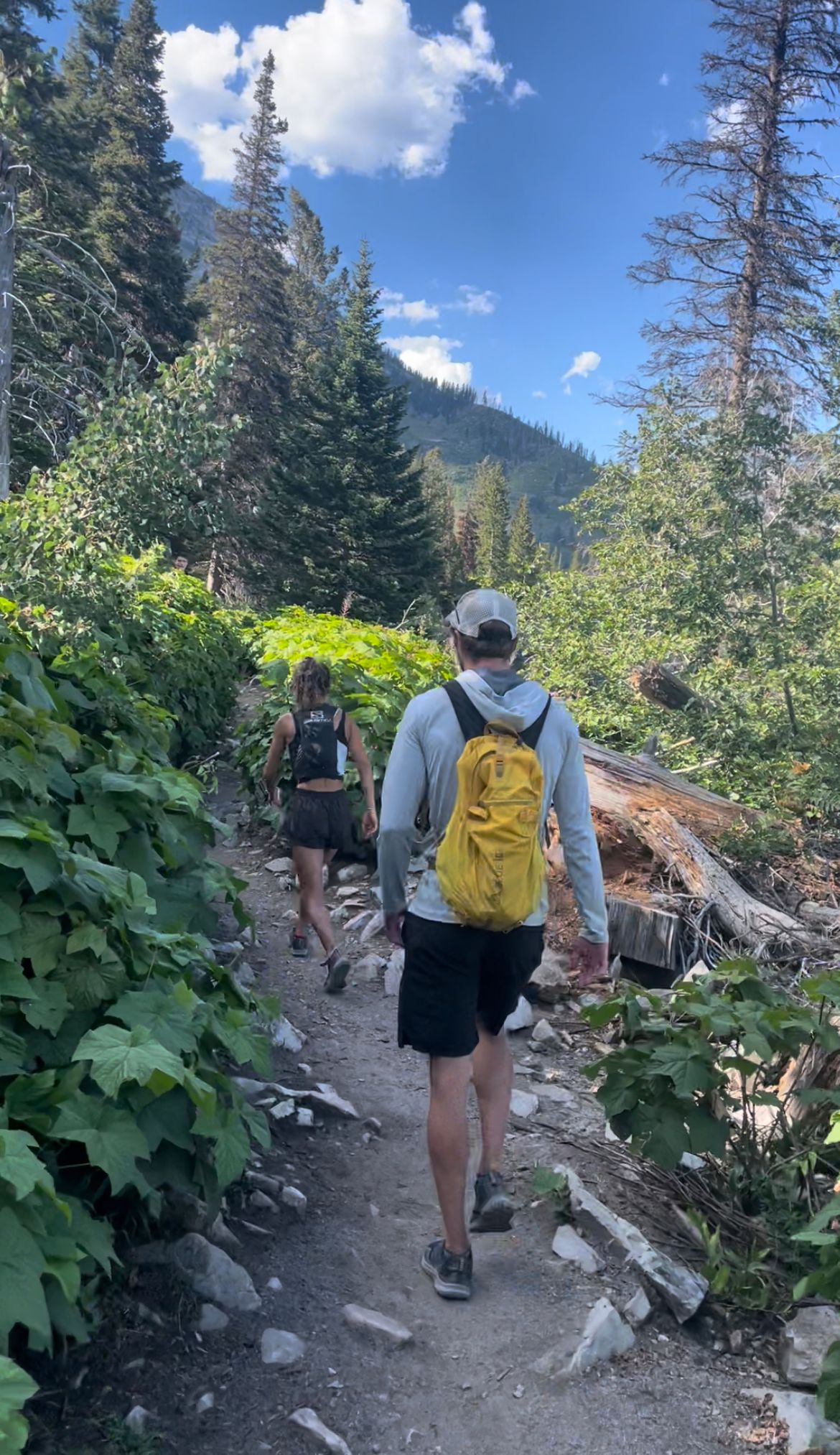 Picnic: Grand Teton Triathlon