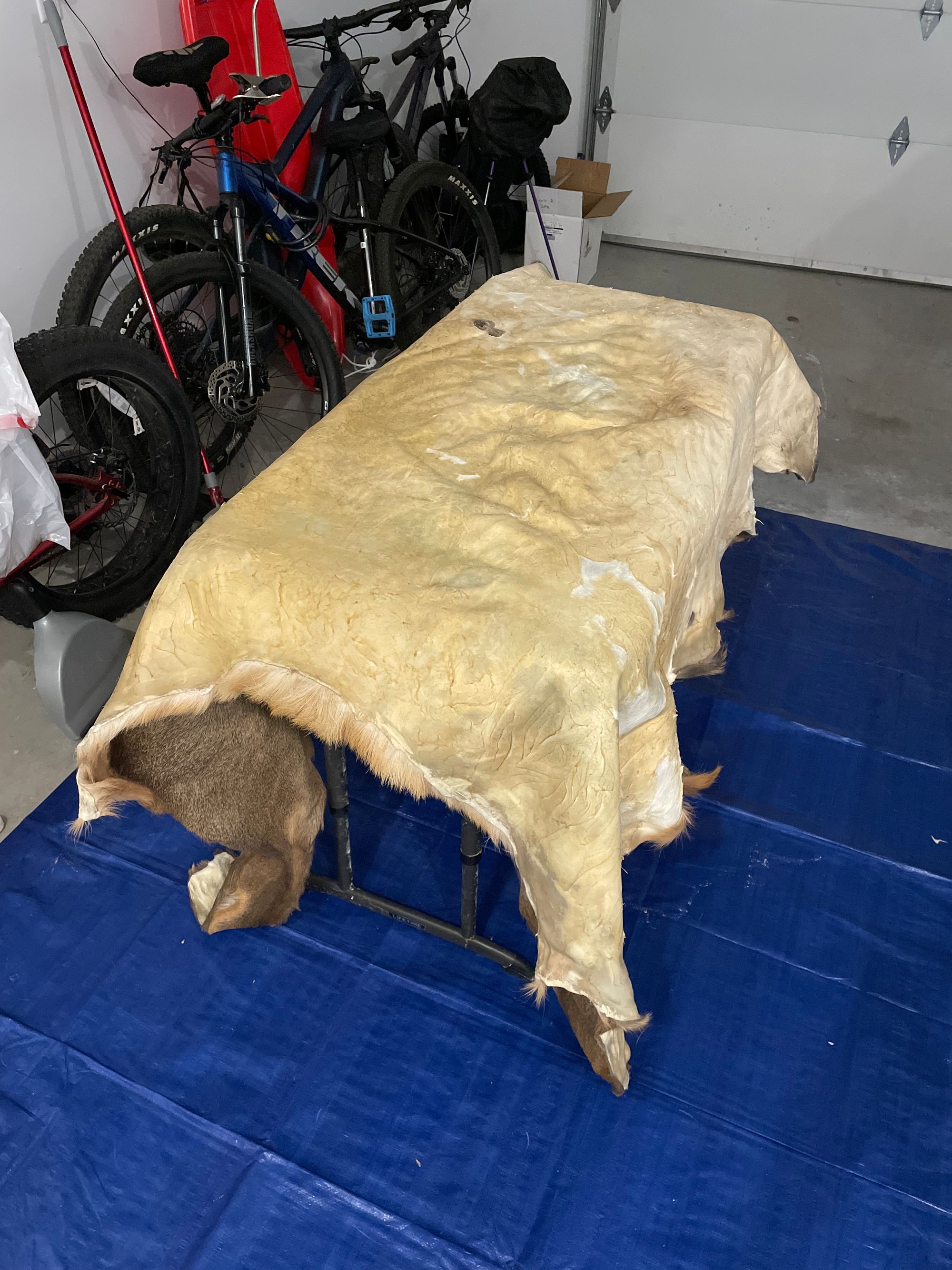 How to Tan an Elk Hide with Hair-on