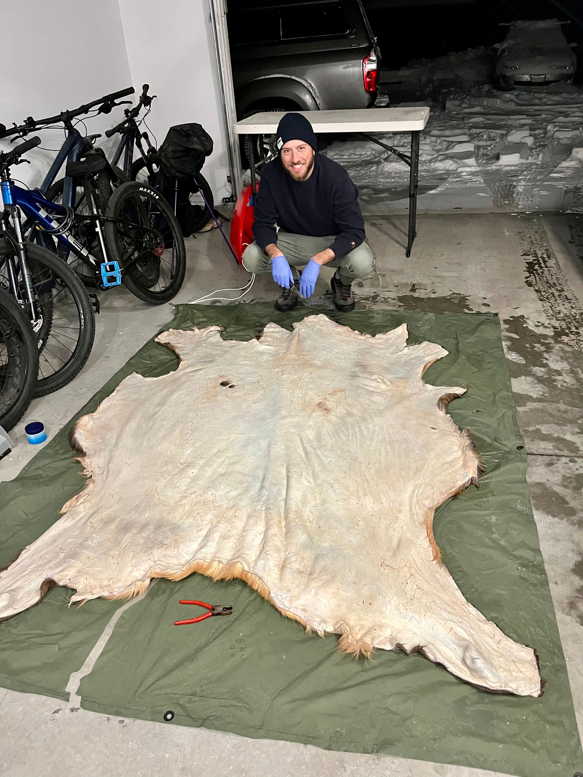 How to Tan an Elk Hide with Hair-on