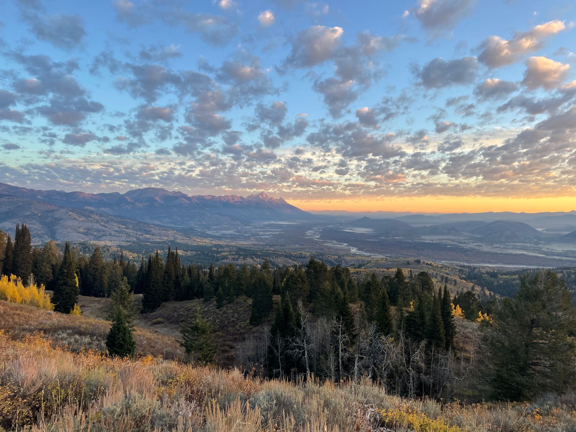 Jackson Hole Elk Hunt – Nat'l Elk Refuge