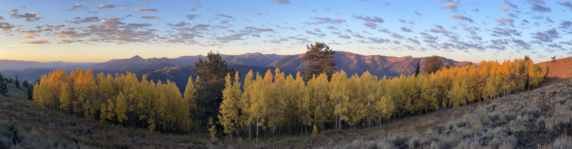 Jackson Hole Elk Hunt – Nat'l Elk Refuge