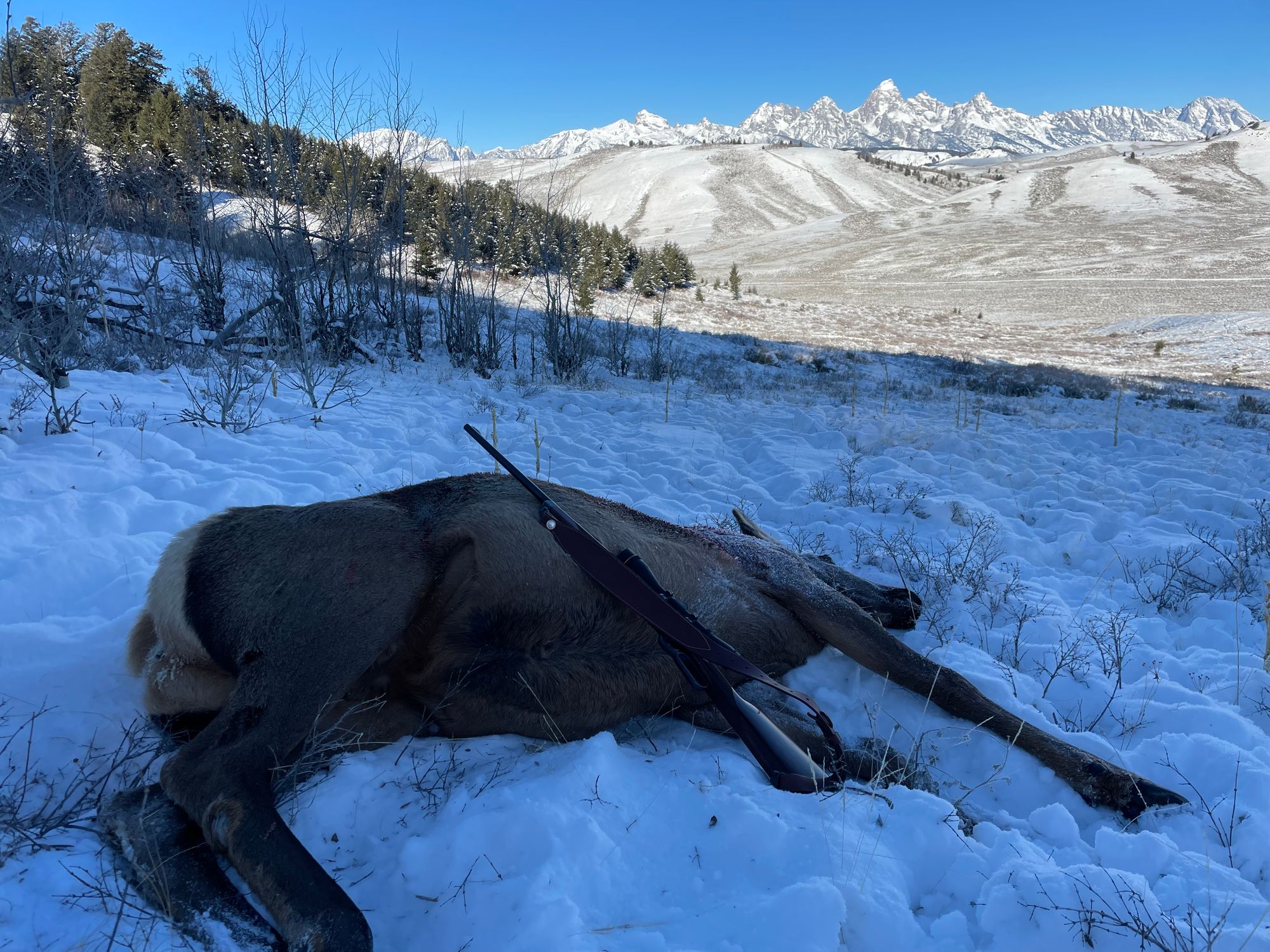 Hunting is in my blood Bullet Thermos