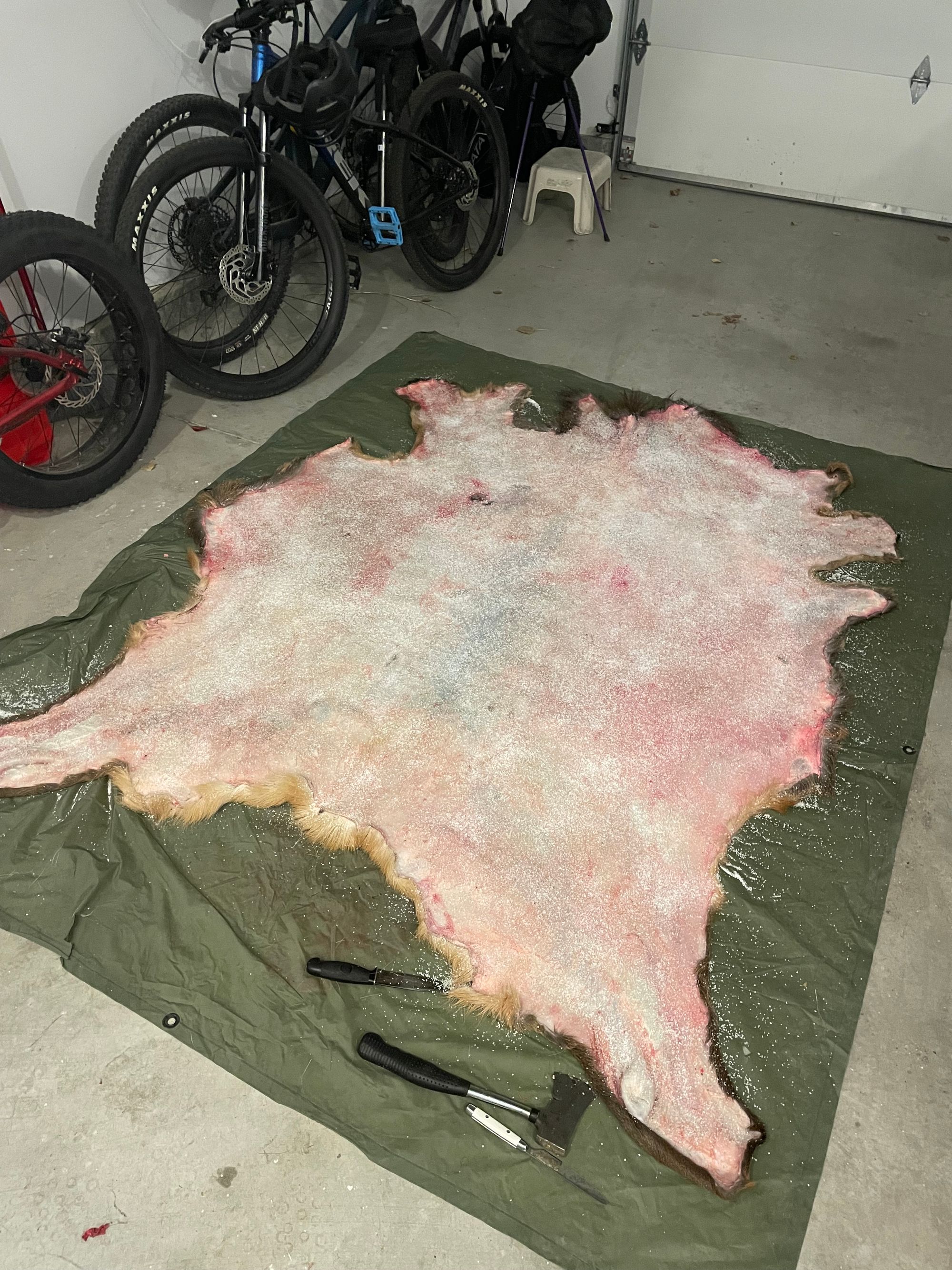 How to Tan an Elk Hide with Hair-on