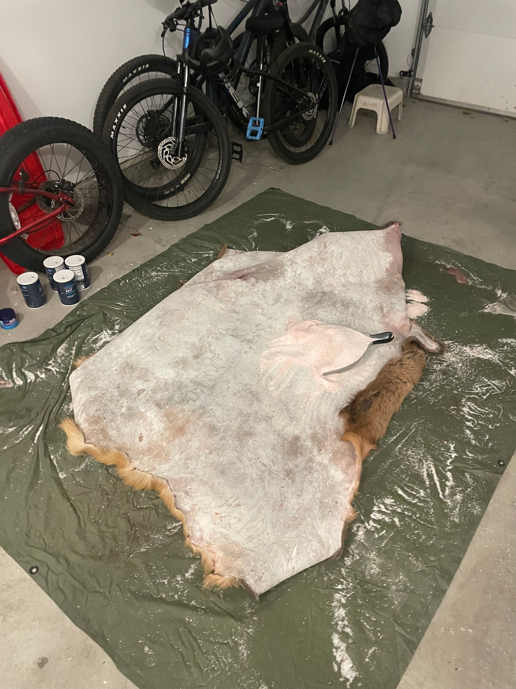 How to Tan an Elk Hide with Hair-on