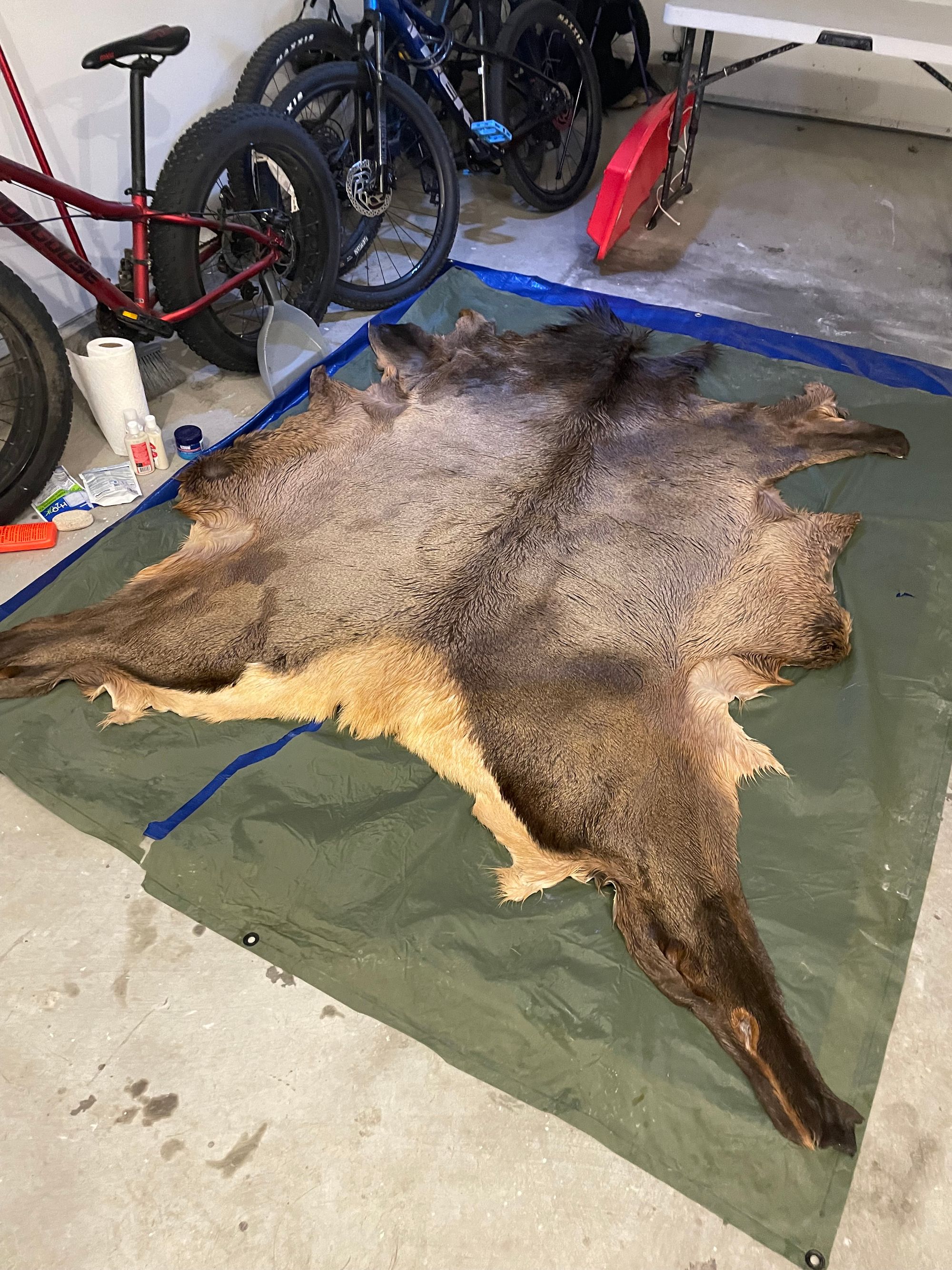 How to Tan an Elk Hide with Hair-on