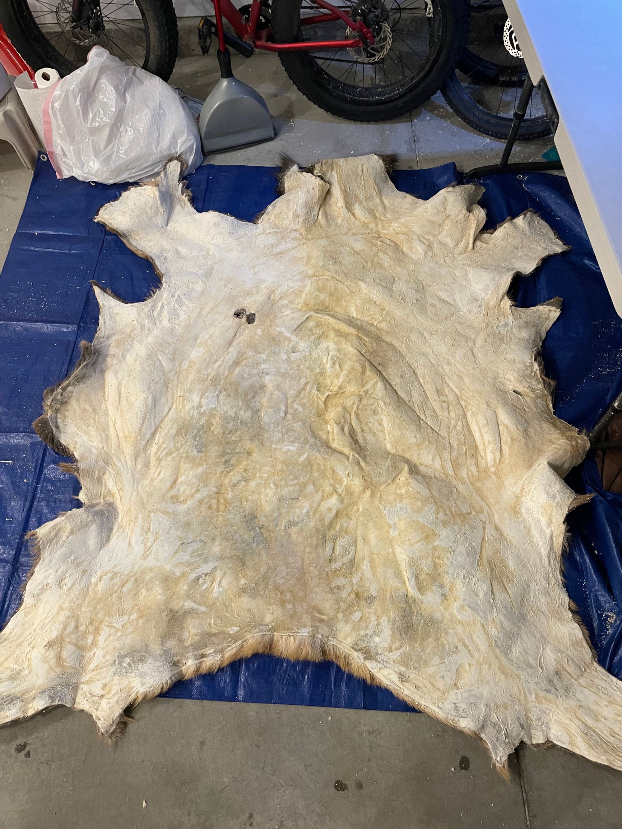 How to Tan an Elk Hide with Hair-on