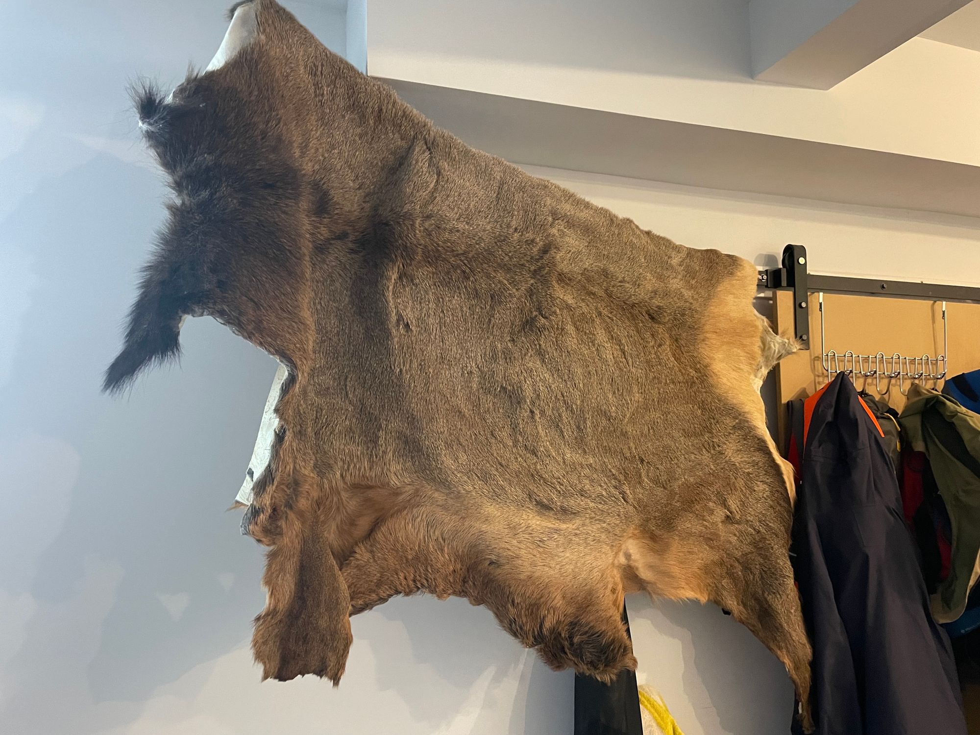 How to Tan an Elk Hide with Hairon