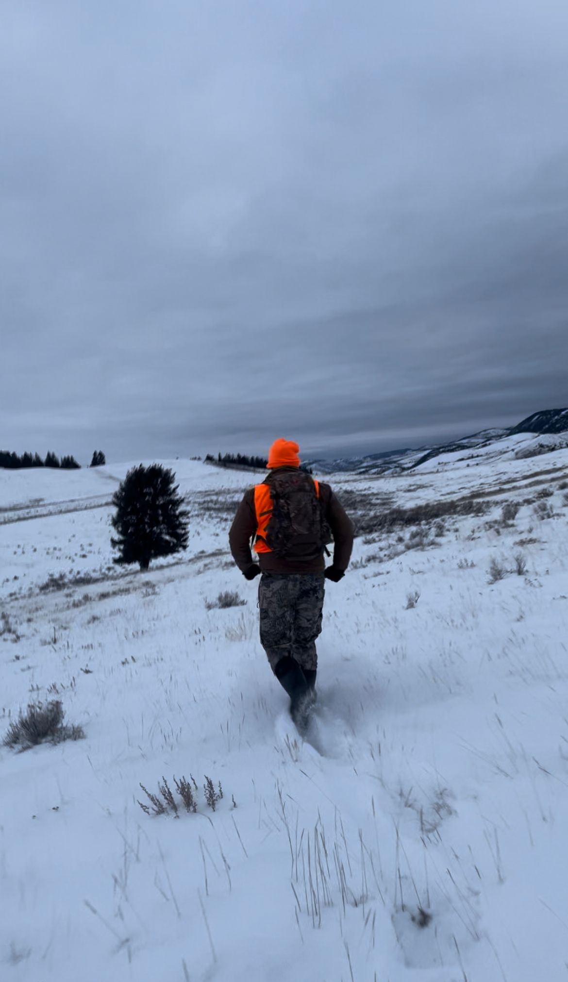 Jackson Hole Elk Hunt – Nat'l Elk Refuge