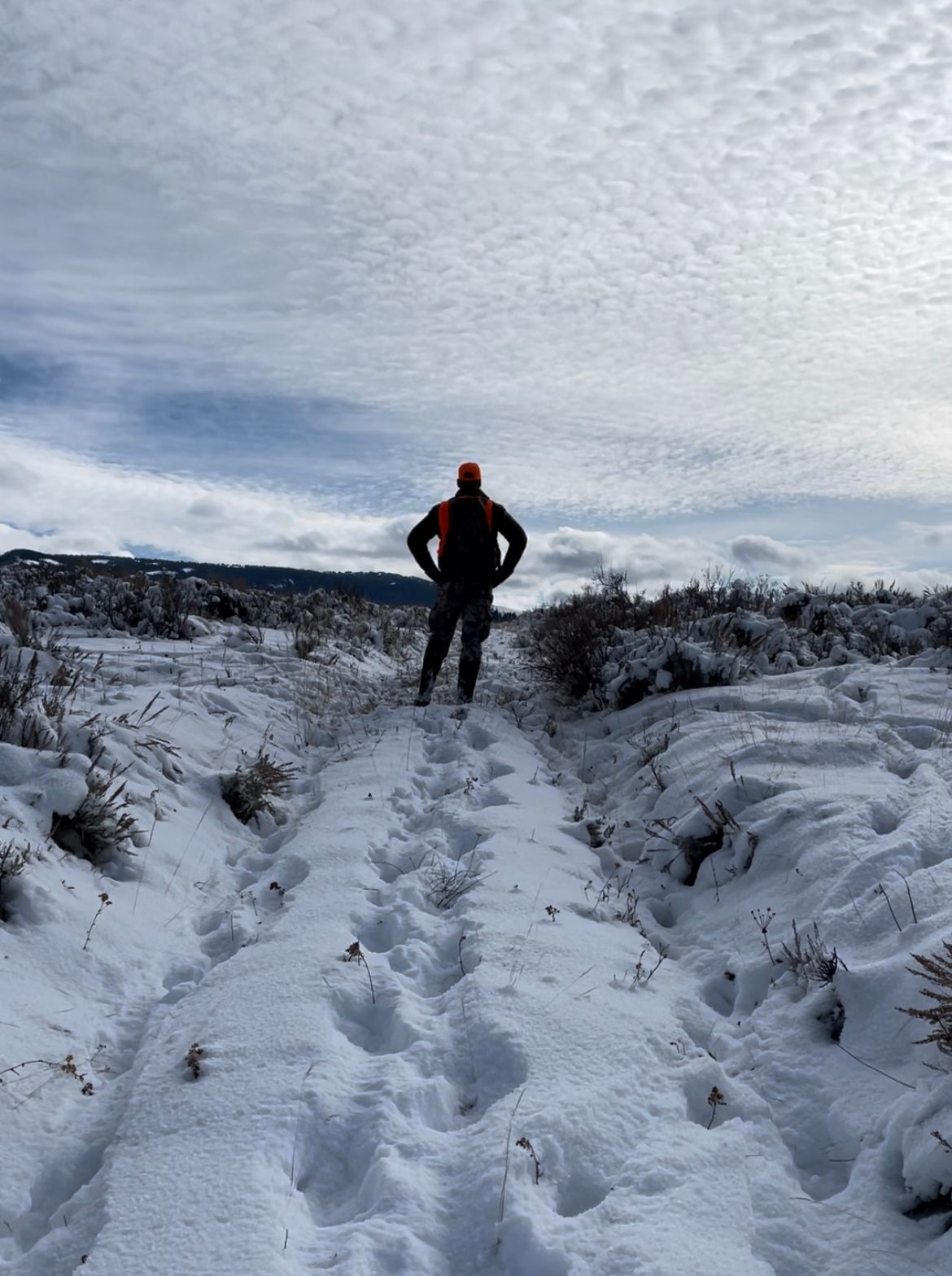 Jackson Hole Elk Hunt – Nat'l Elk Refuge