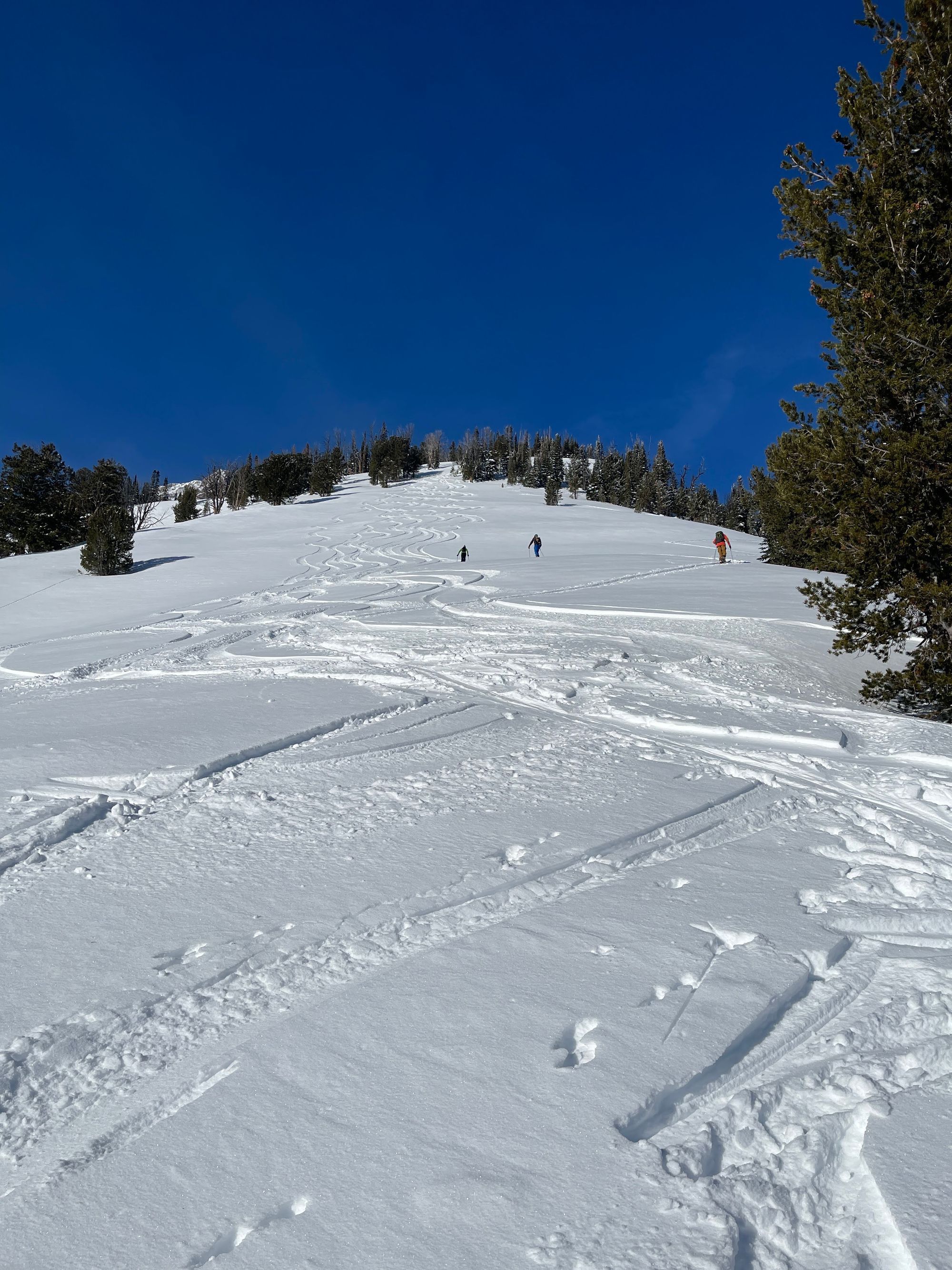 Sawtooths Ski Touring: Williams Peak Hut (2 Nights)