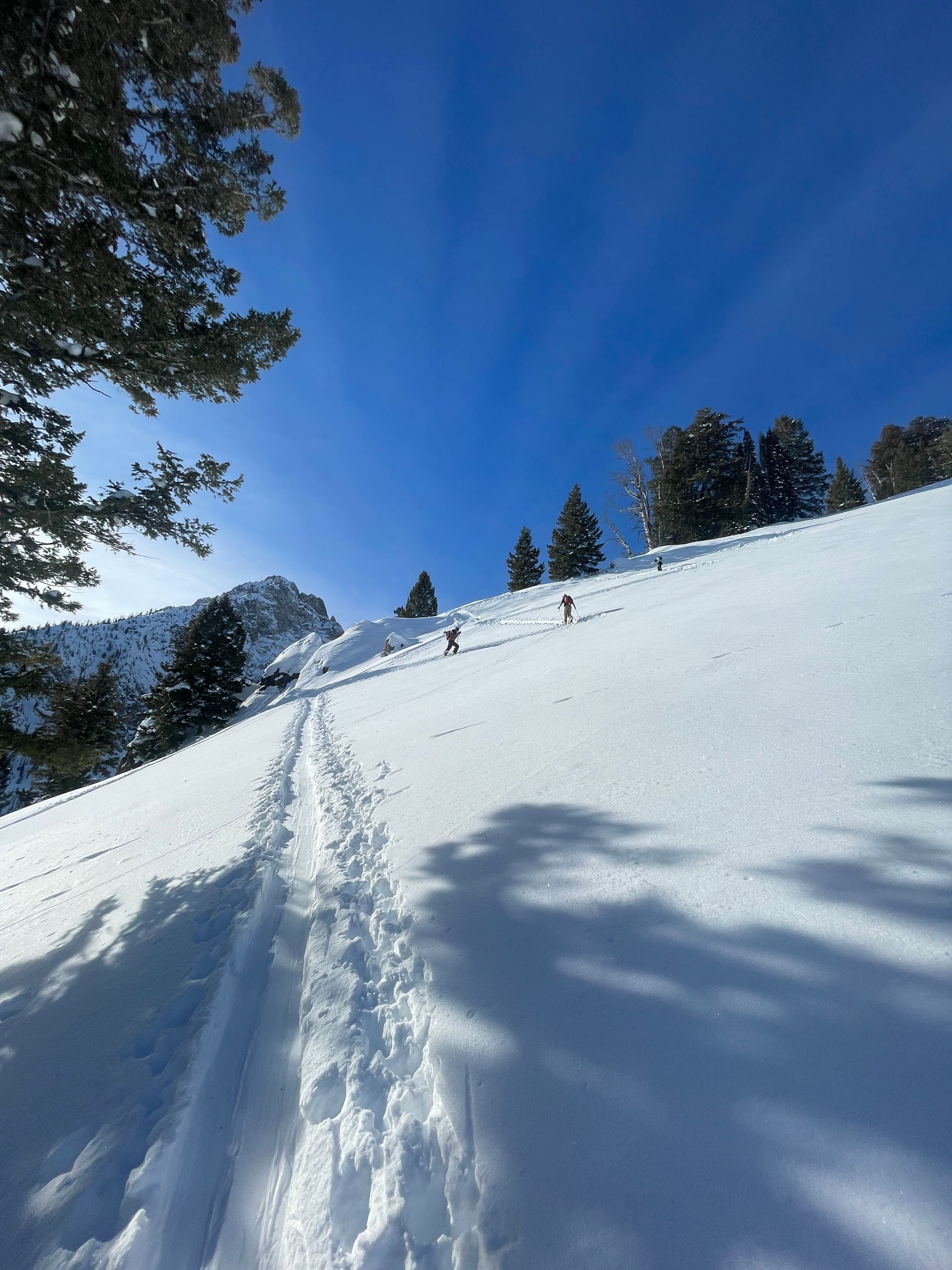 Sawtooths Ski Touring: Williams Peak Hut (2 Nights)