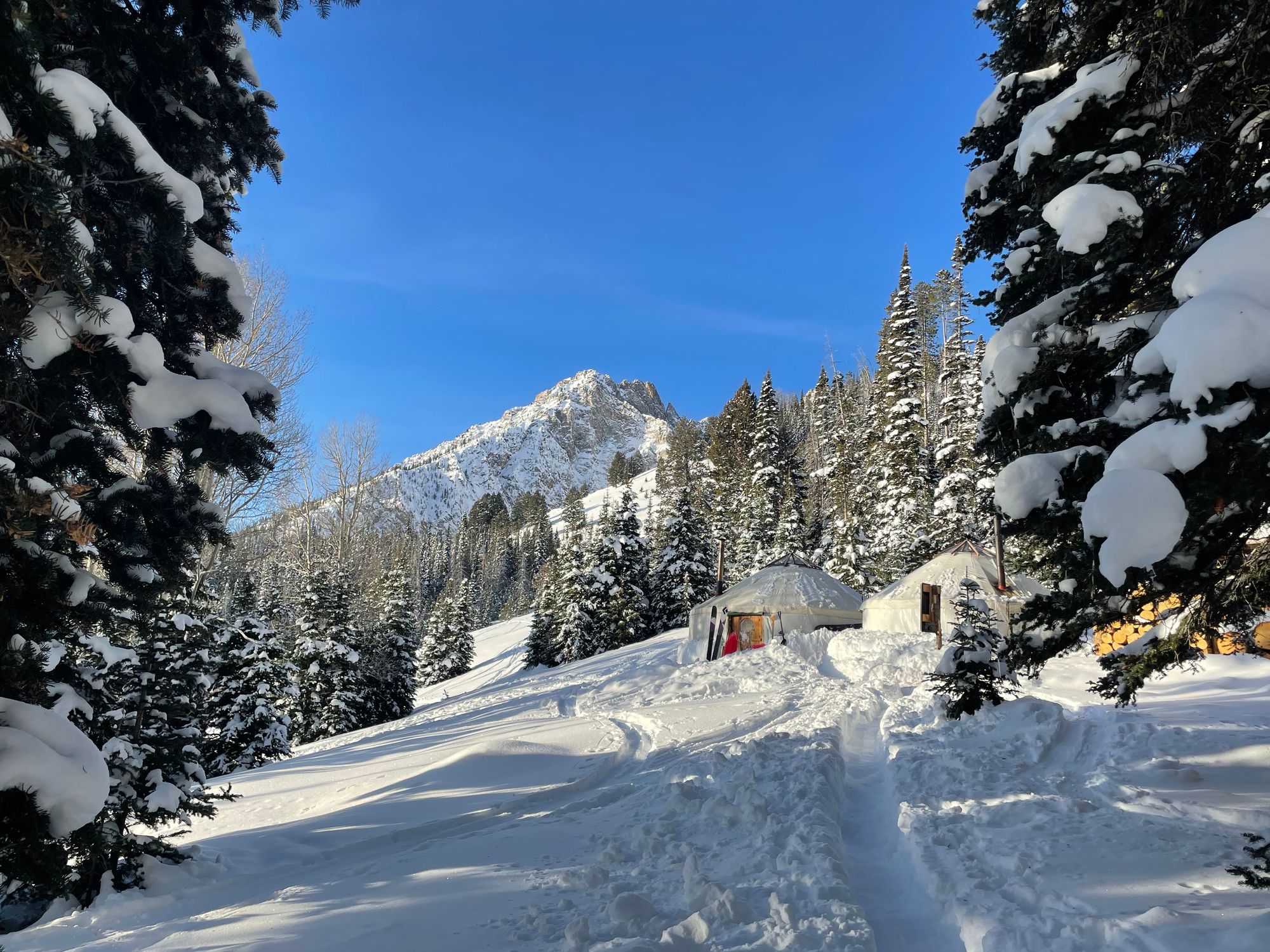 Sawtooths Ski Touring: Williams Peak Hut (2 Nights)