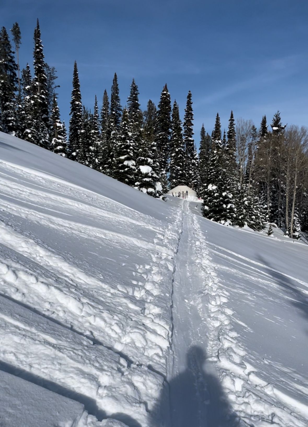 Sawtooths Ski Touring: Williams Peak Hut (2 Nights)