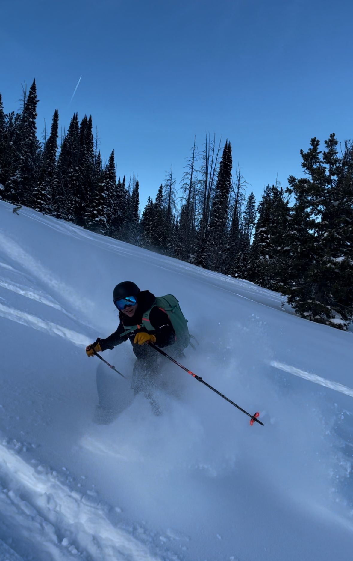 Sawtooths Ski Touring: Williams Peak Hut (2 Nights)