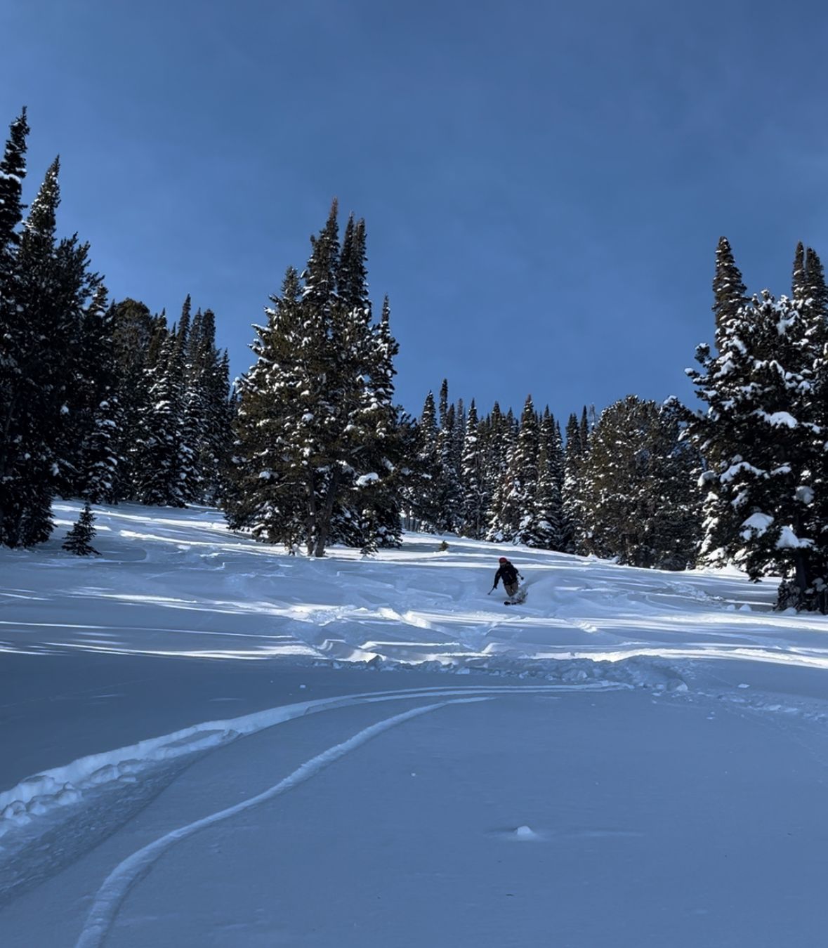 Sawtooths Ski Touring: Williams Peak Hut (2 Nights)