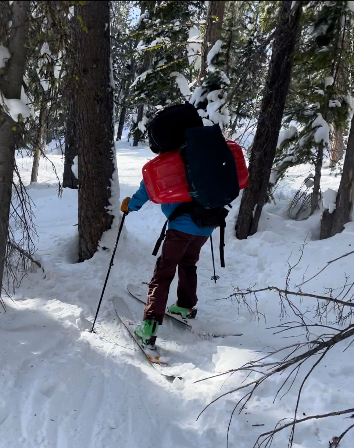 Sawtooths Ski Touring: Williams Peak Hut (2 Nights)