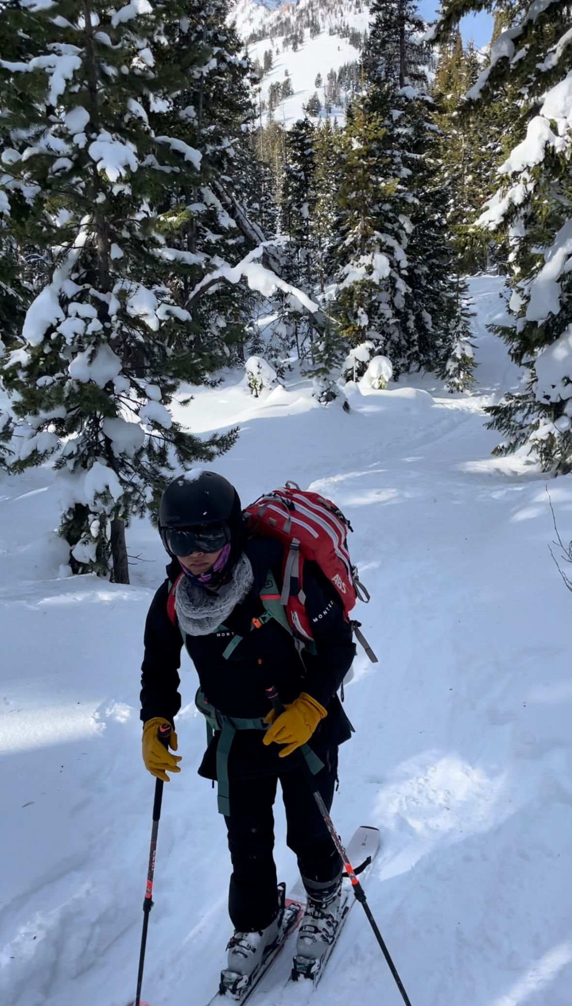 Sawtooths Ski Touring: Williams Peak Hut (2 Nights)