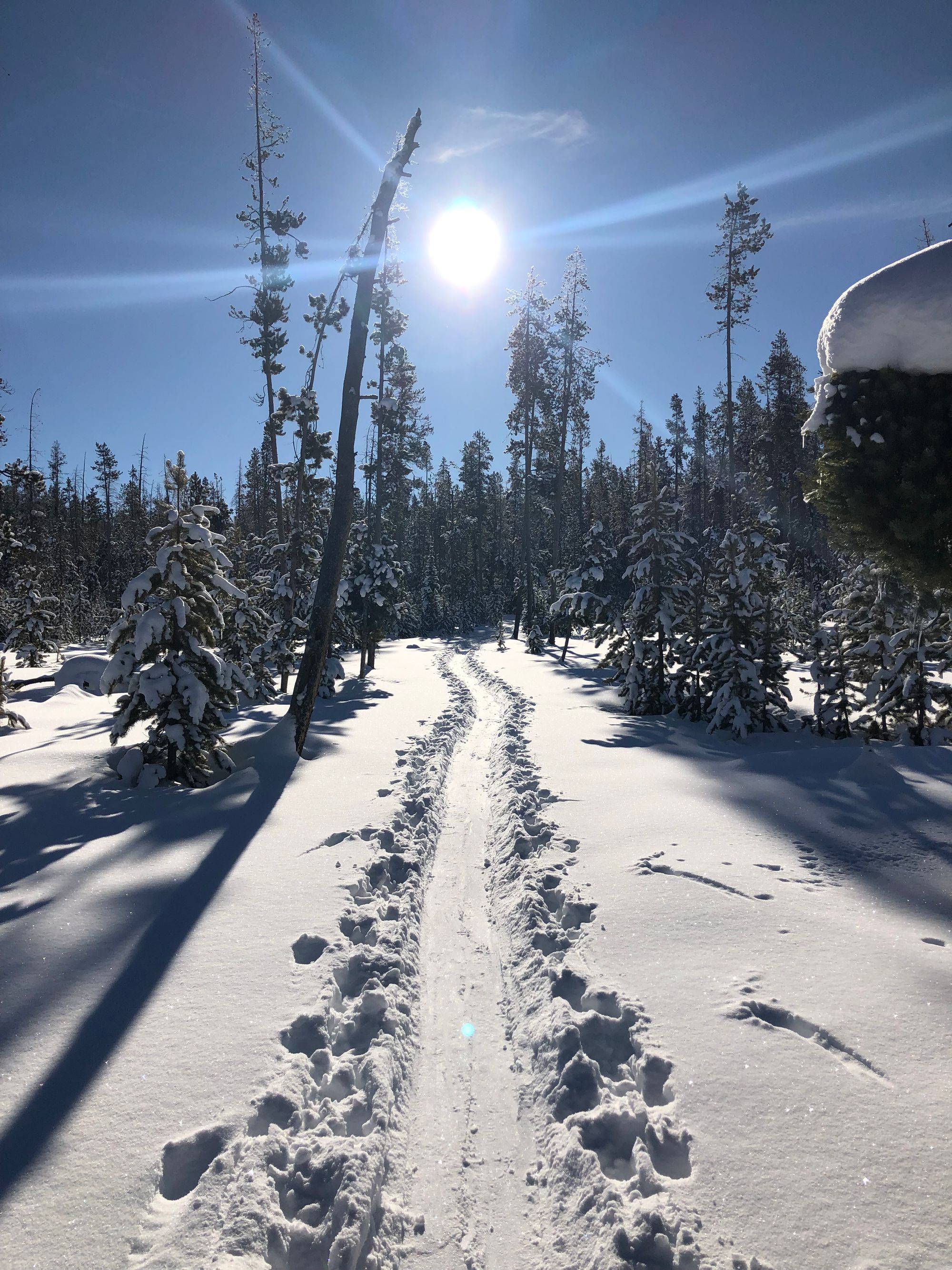 Sawtooths Ski Touring: Williams Peak Hut (2 Nights)