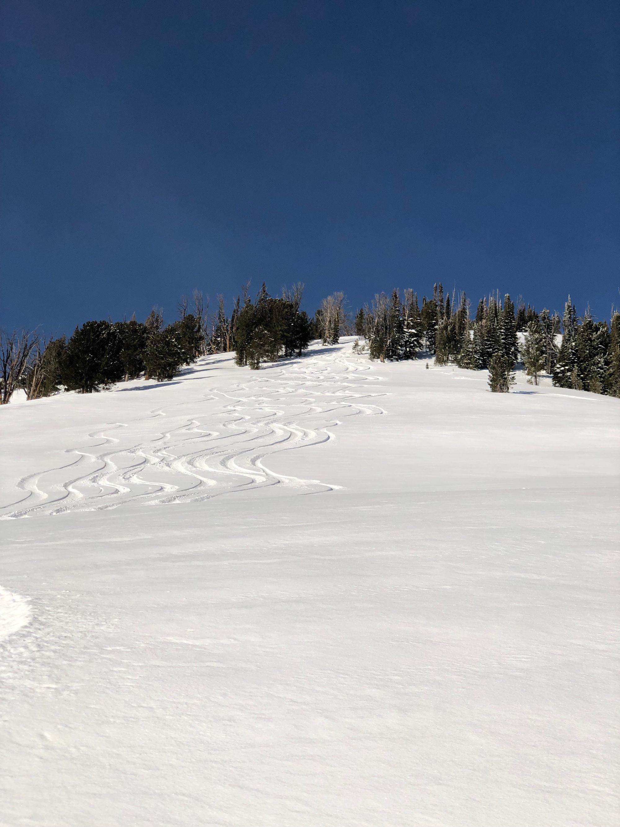 Sawtooths Ski Touring: Williams Peak Hut (2 Nights)