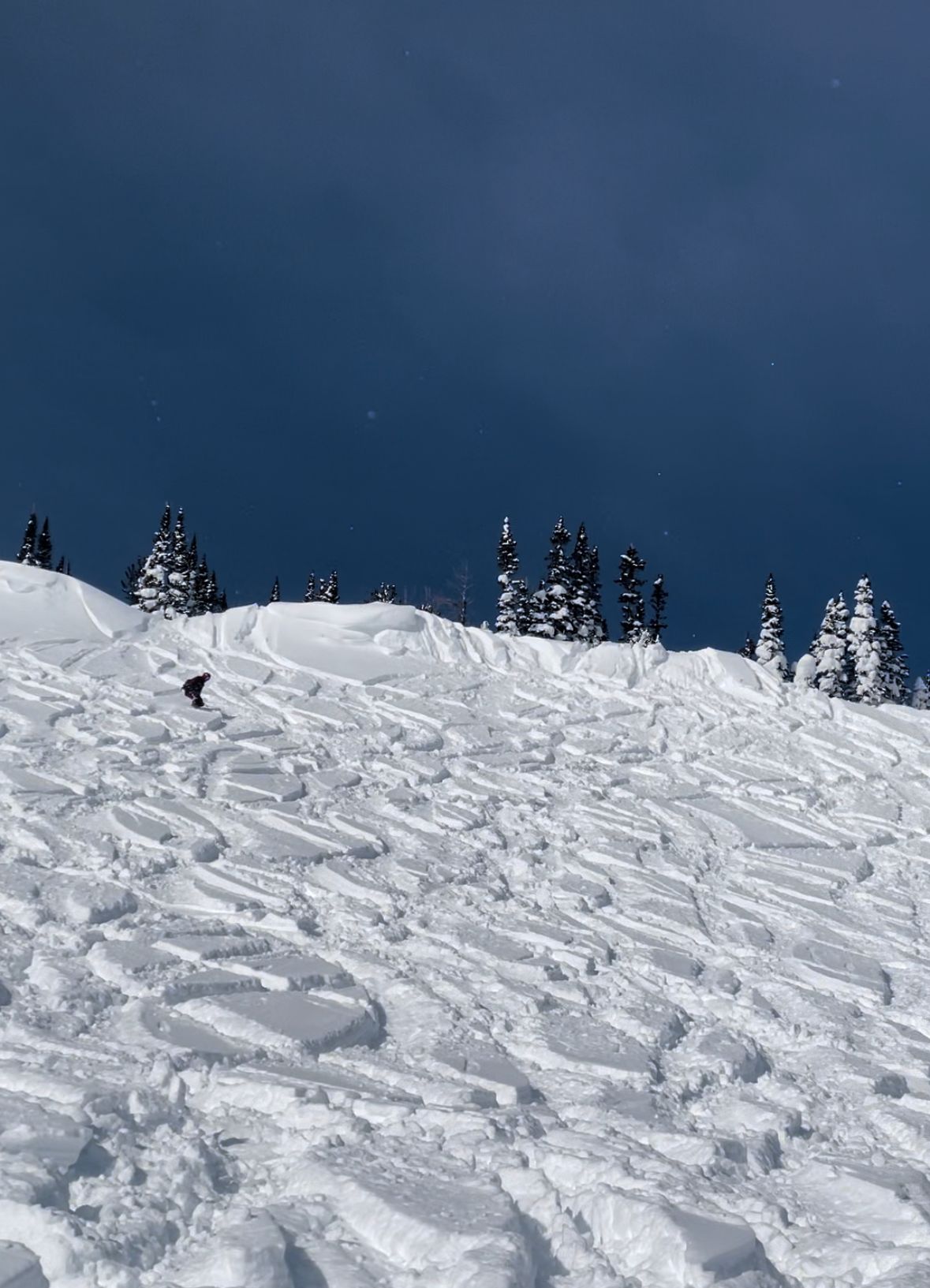 Adaptive Ski School Takeaways