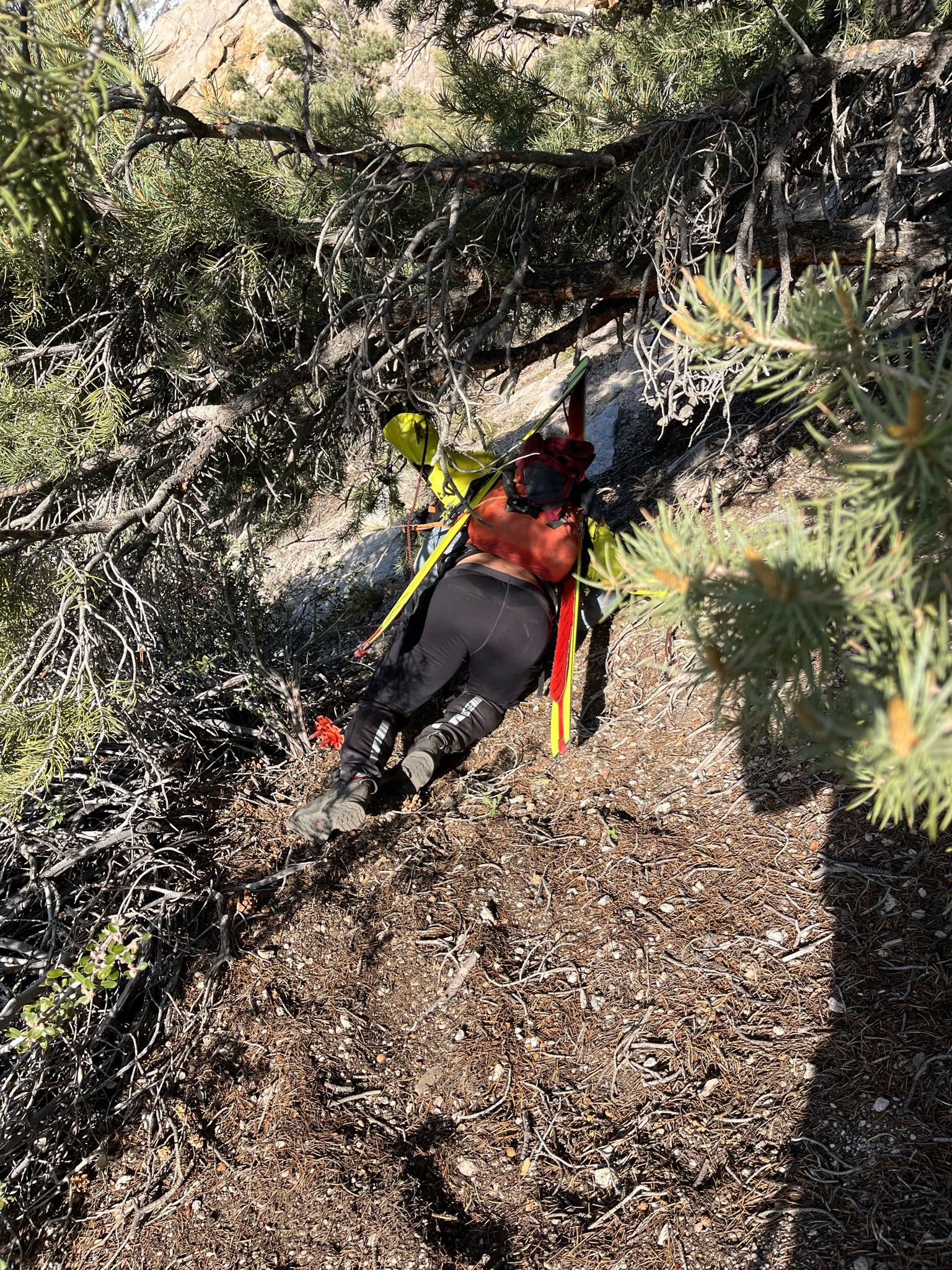 Mt. Williamson Ski Descent