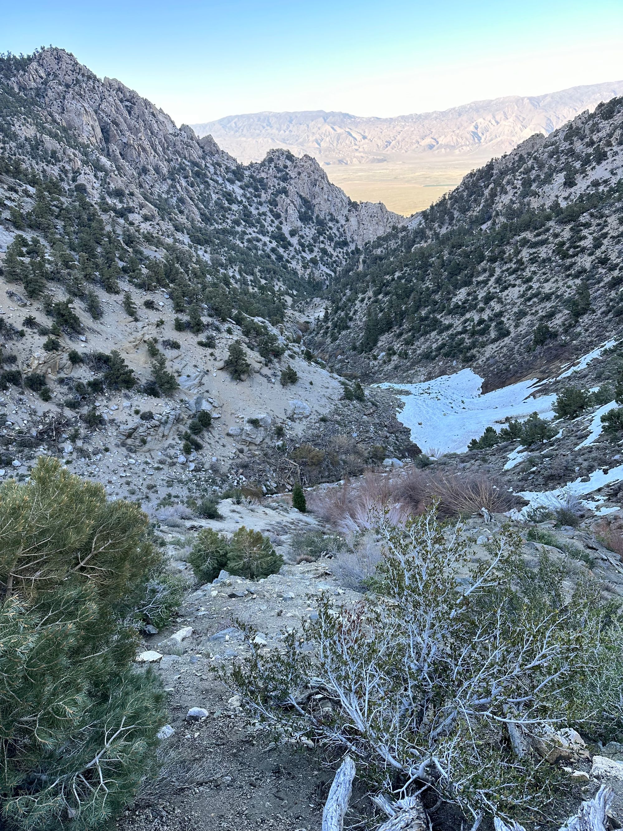 Mt. Williamson Ski Descent