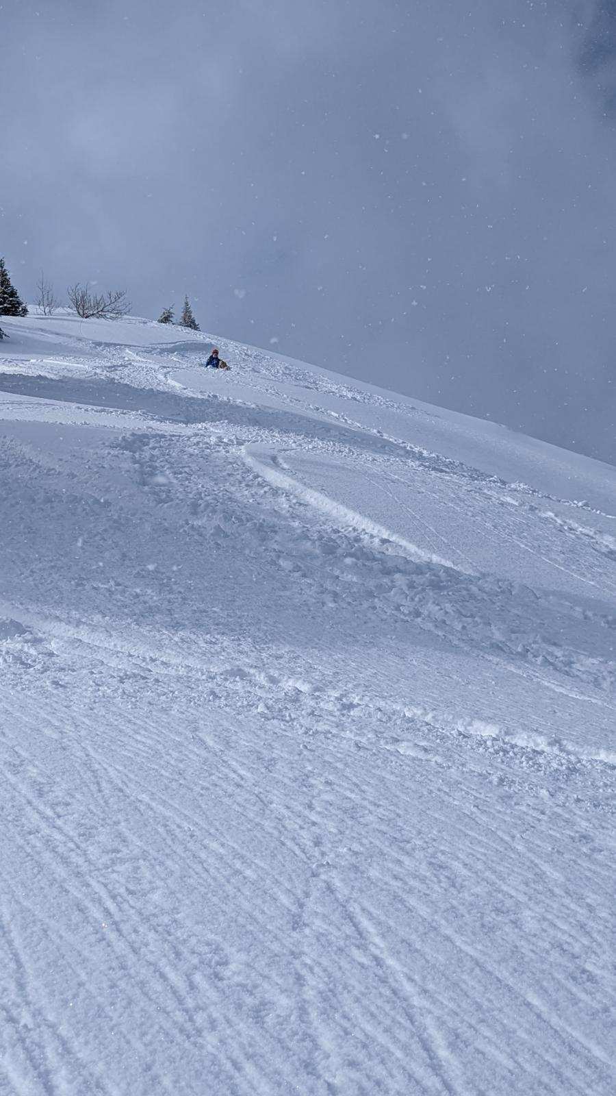 Mt. Williamson Ski Descent