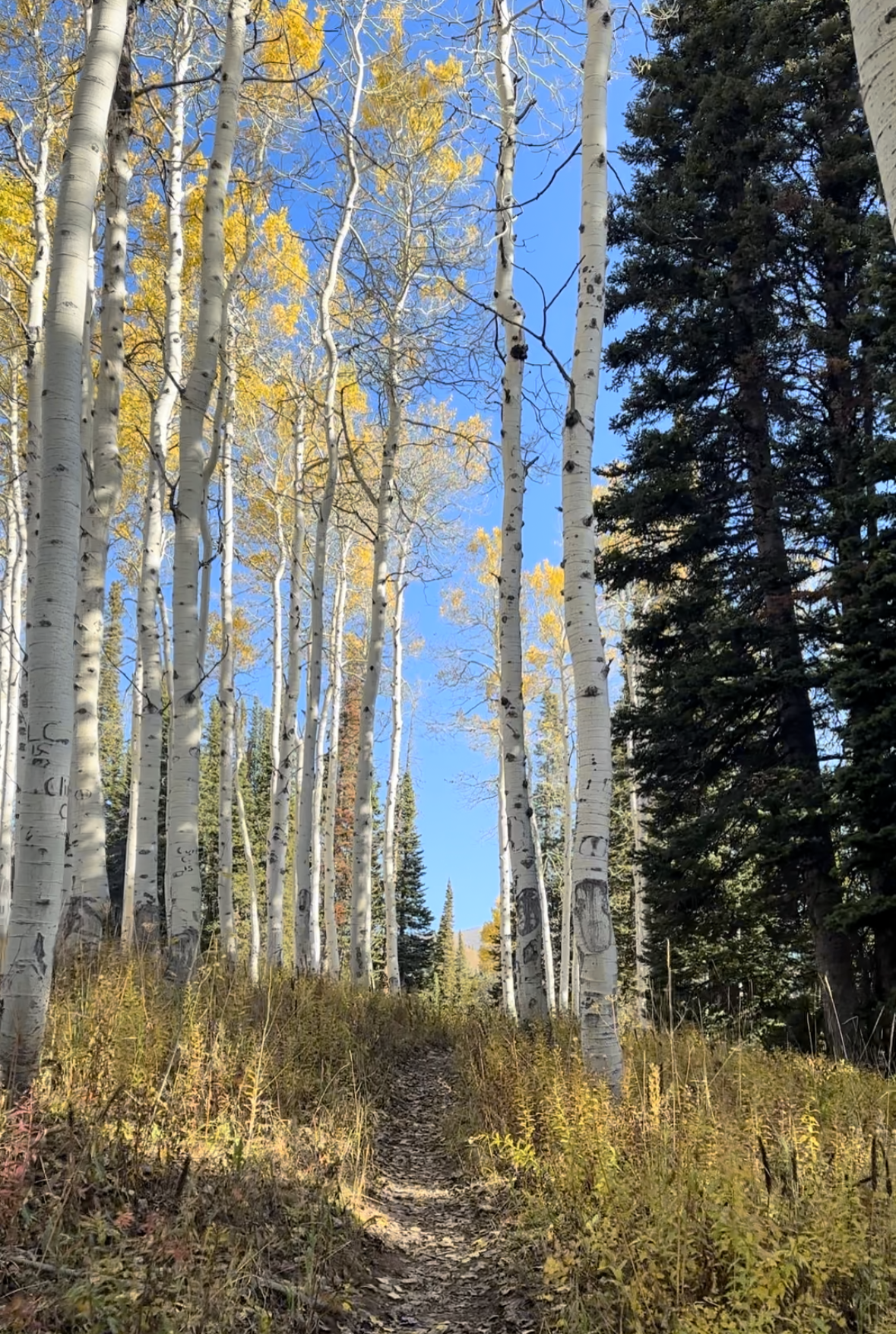 Teton Crest Trail in a Day