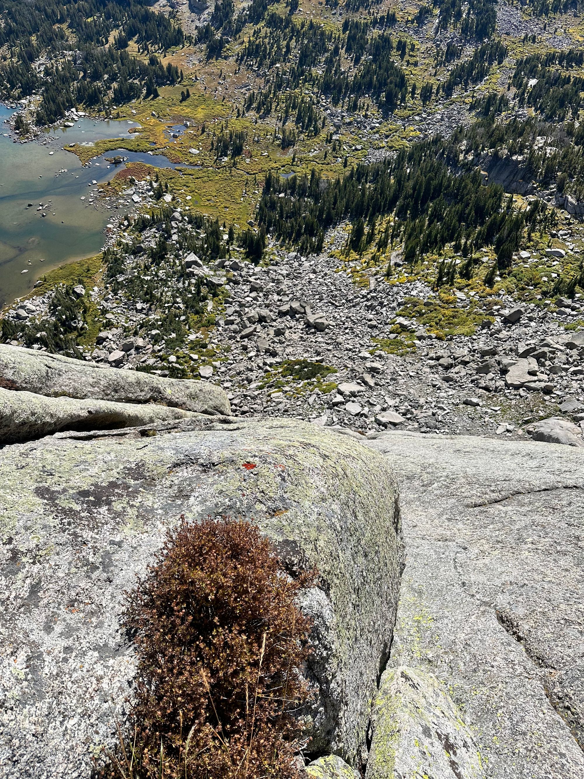 Pingora via East Face, Left-Side Cracks (5.7; 11 pitches)