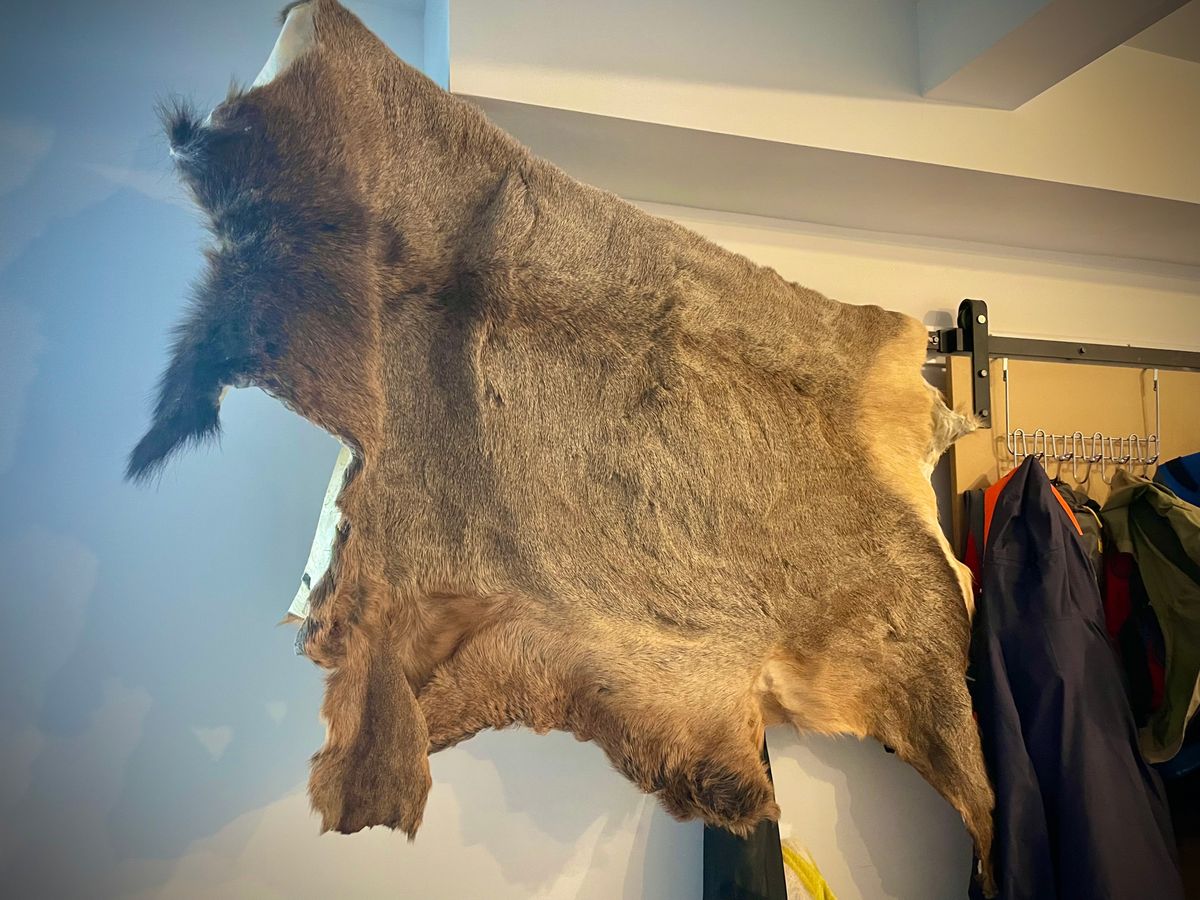 How to Tan an Elk Hide with Hair-on