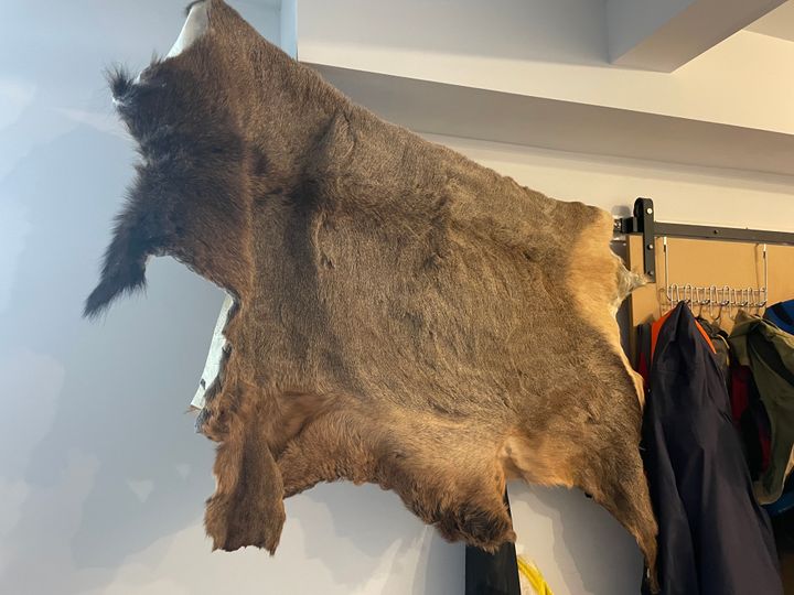 How to: Elk Hide Tanning with Hair-on