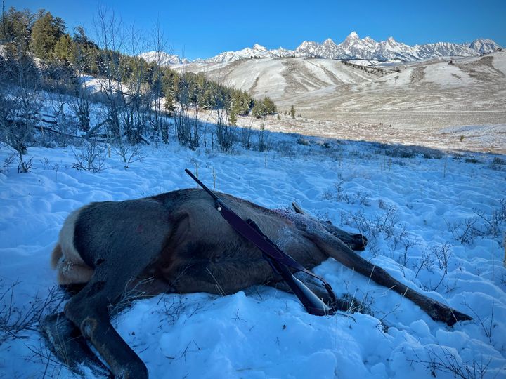 Jackson Hole Elk Hunt – Nat'l Elk Refuge